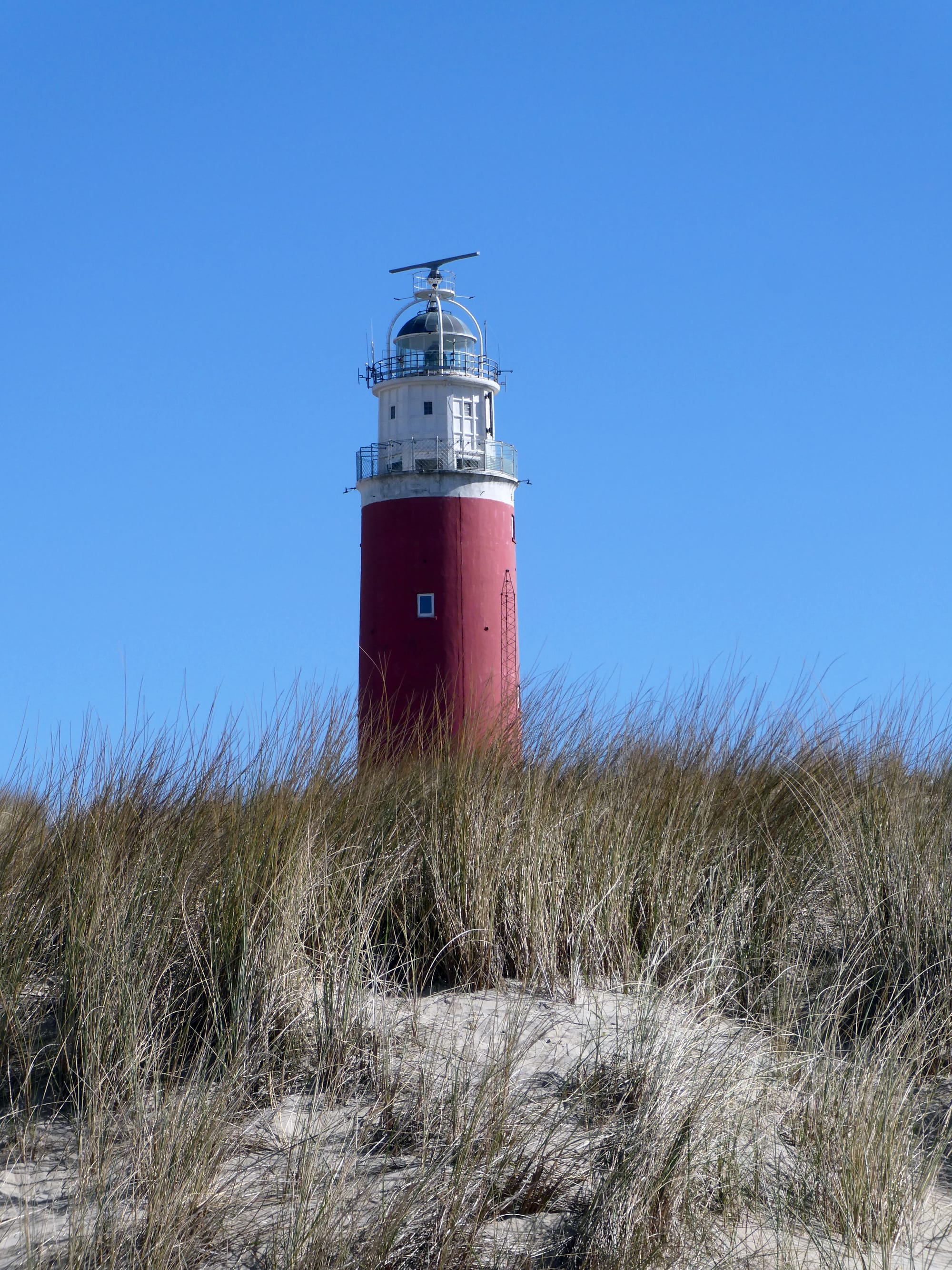 Texel