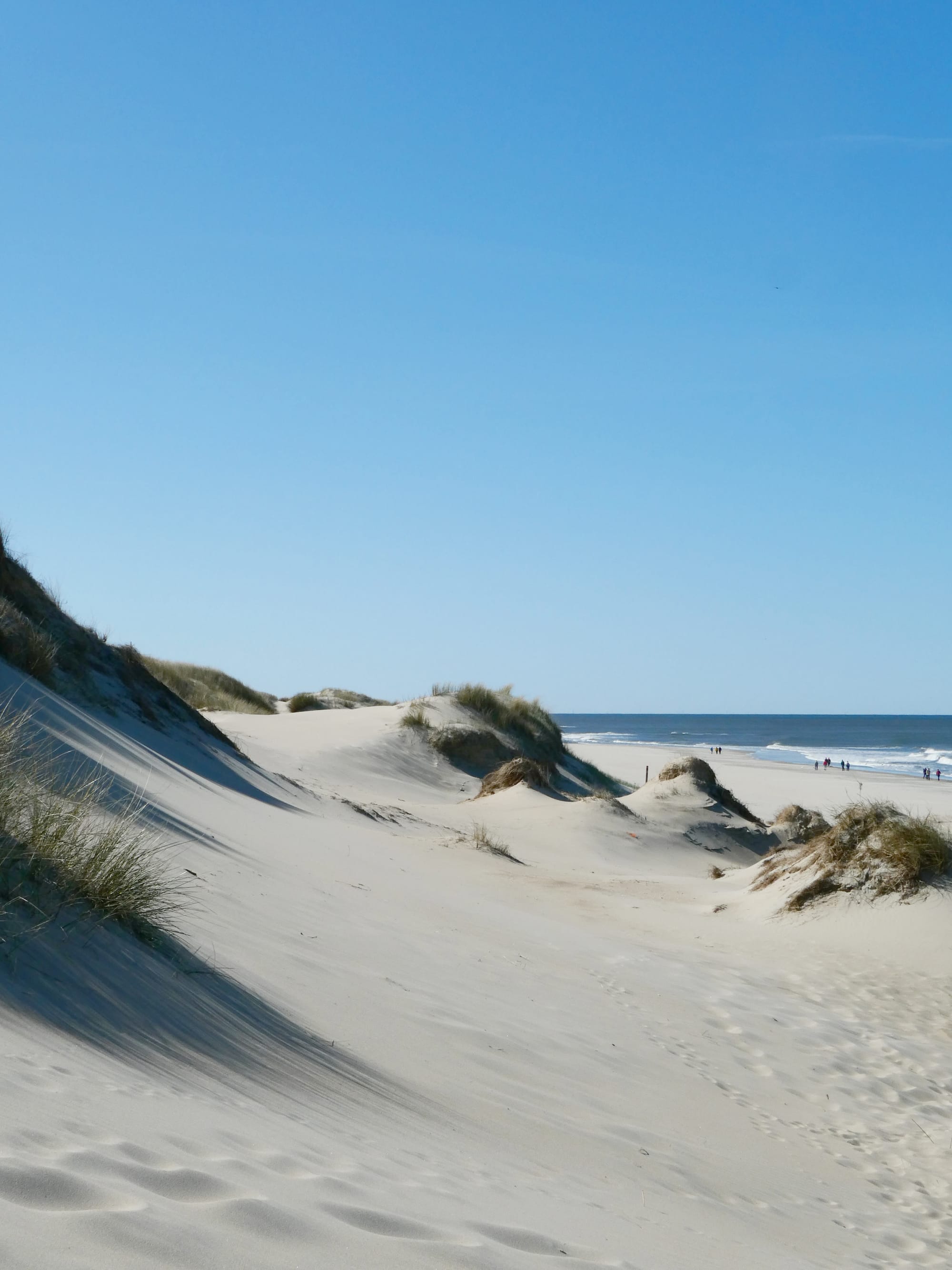 Texel