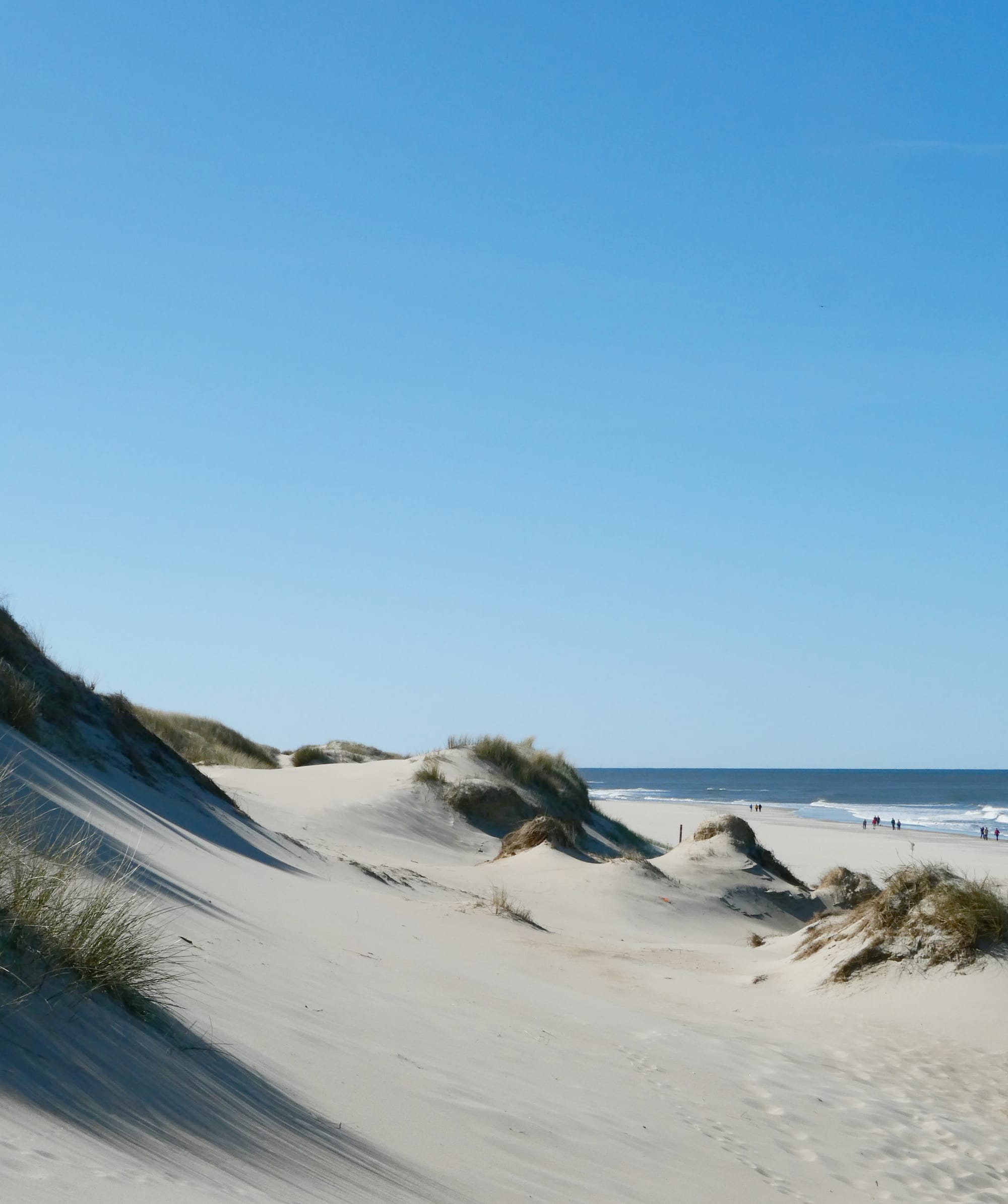 Texel