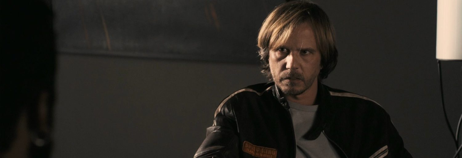 A serbian film/Una película serbia (2010)