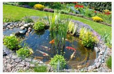 Manantial La Joya Fría. Victoria Gto