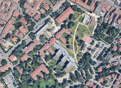 Le radici dello studio: la collaborazione al grande progetto del Campus Universitario di Forlì