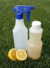 Δημιουργήστε υγιεινό περιβάλλον με τις υπηρεσίες καθαρισμού