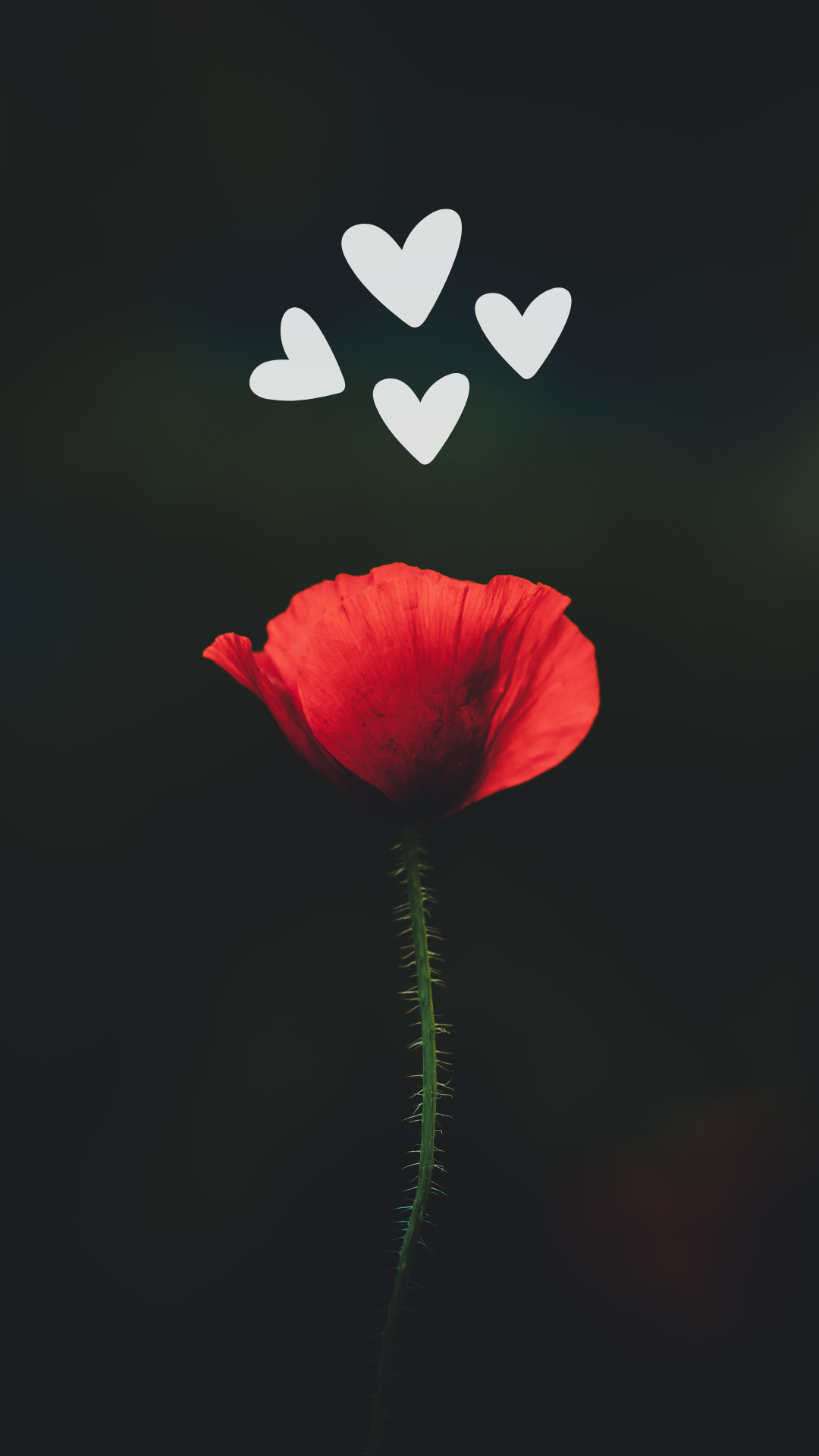 Romantic phone wallpapers