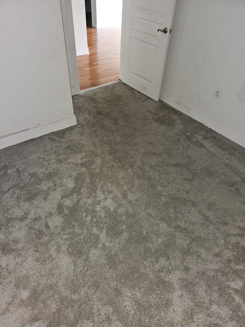 MORE CARPET EXAMPLES