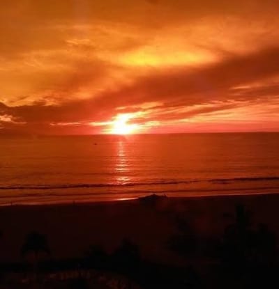 Find Your Perfect Home for Sale in Nuevo Vallarta: Exploring Nuevo Vallarta Real Estate