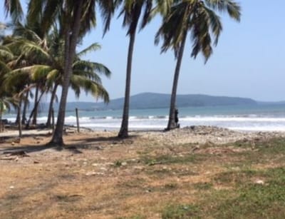 Doing land for sale in aticama through realtors in aticama is a savior for you