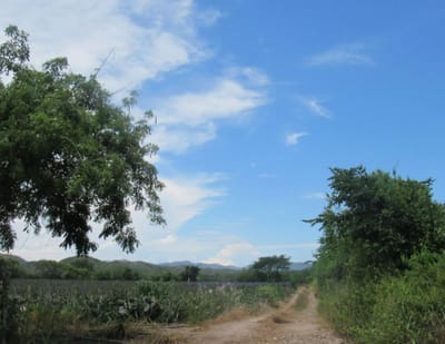 Finding Your PERFECT Real Estate Agent in Monteon: A Complete Guide