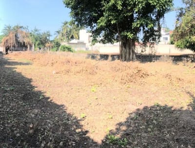 Discover Premium Properties and Land For Sale in San Blas with Galvan Real Estate