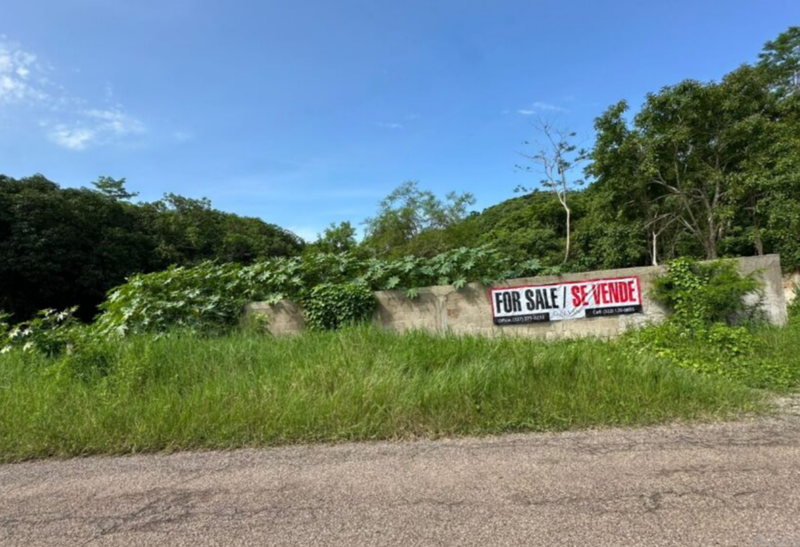 Discover the Best Properties for Sale in San Pancho with Galvan Real Estate