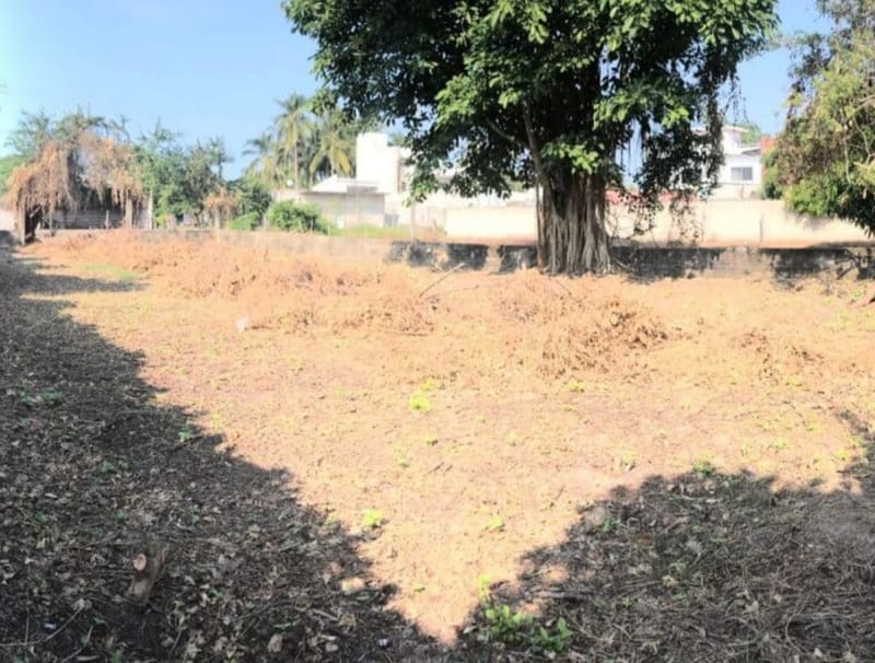 Discover Premium Properties and Land For Sale in San Blas with Galvan Real Estate