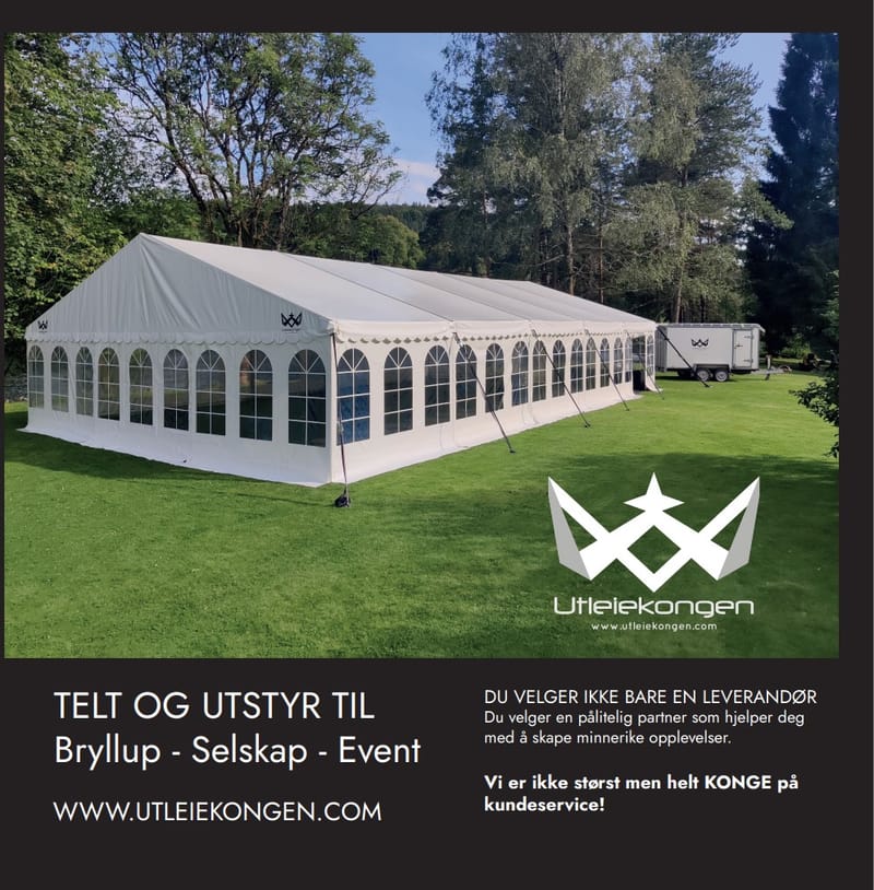 Valg av leverandør