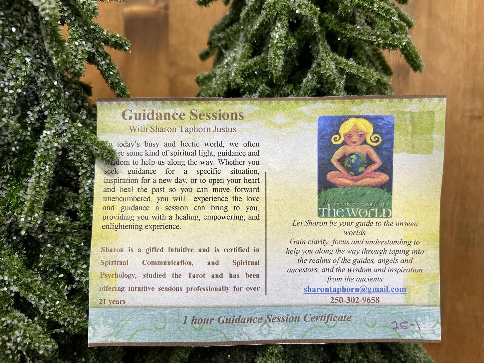 Guidance session with Sharon Taphon Justus