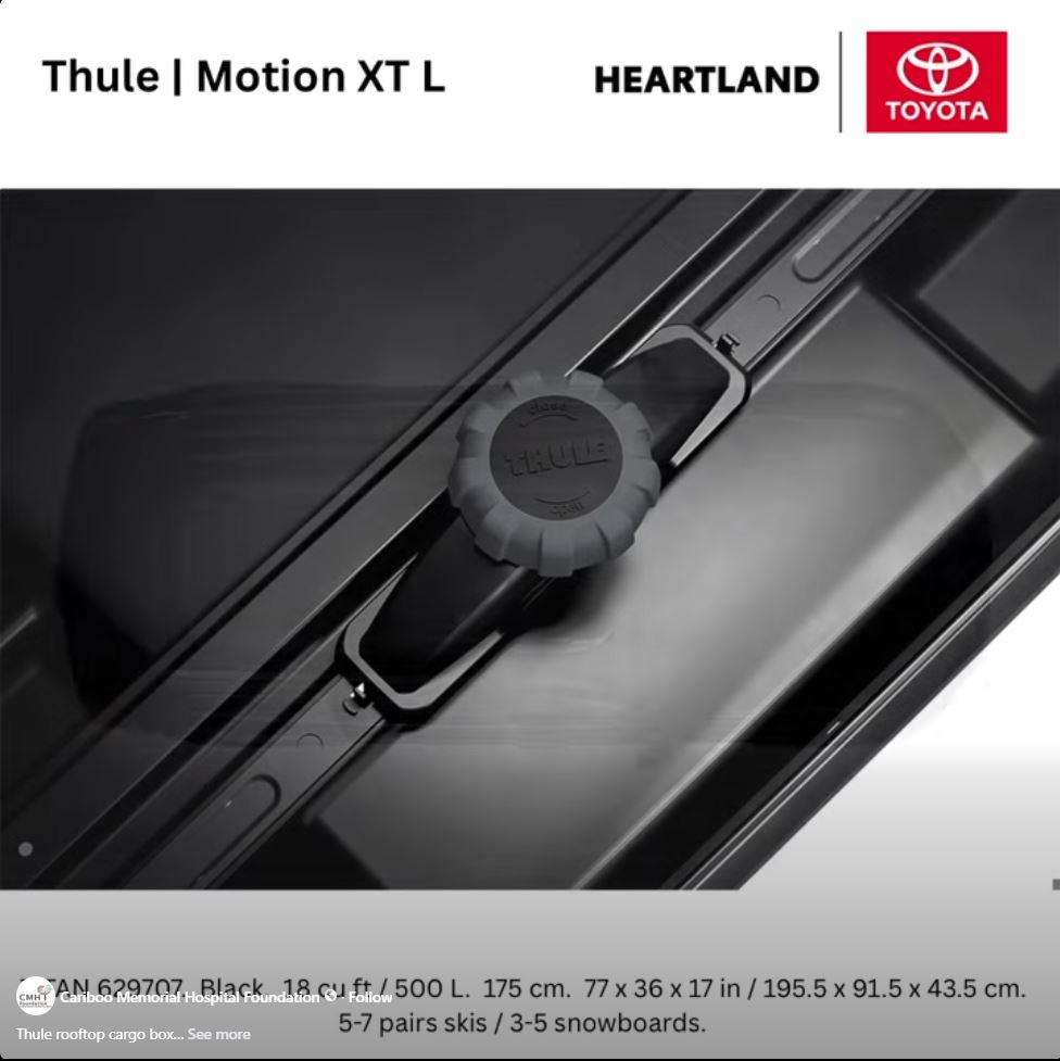 Thule rooftop cargo box