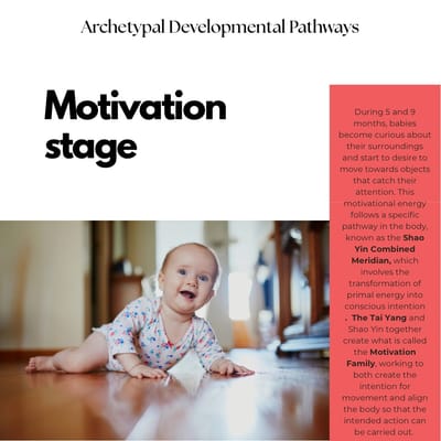 Movement Matters: How Infant Development Shapes Our Sense of Self, Confidence, and Connection By Ruth Patrizzi