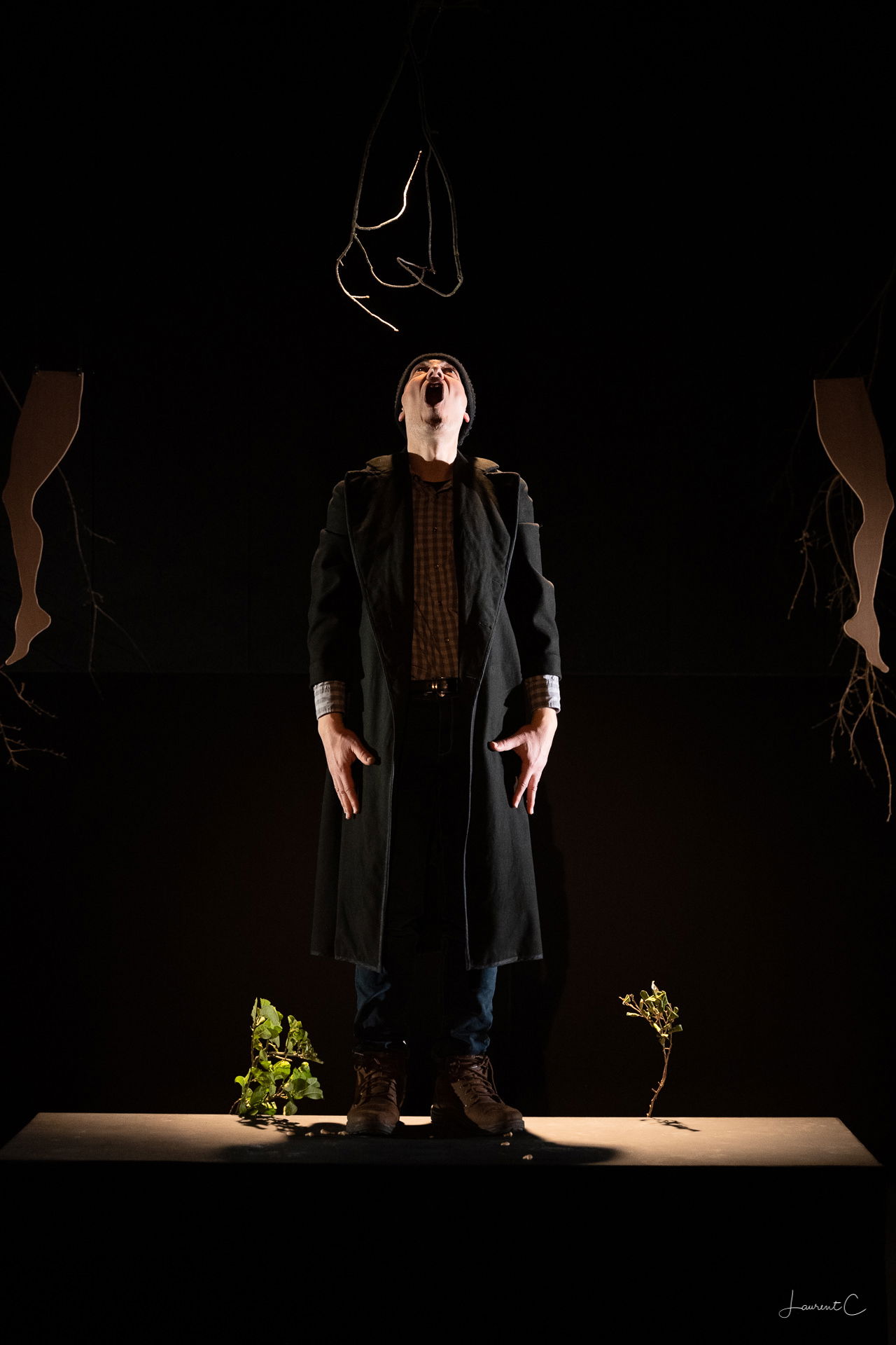 Vous ne m'aurez pas vivant