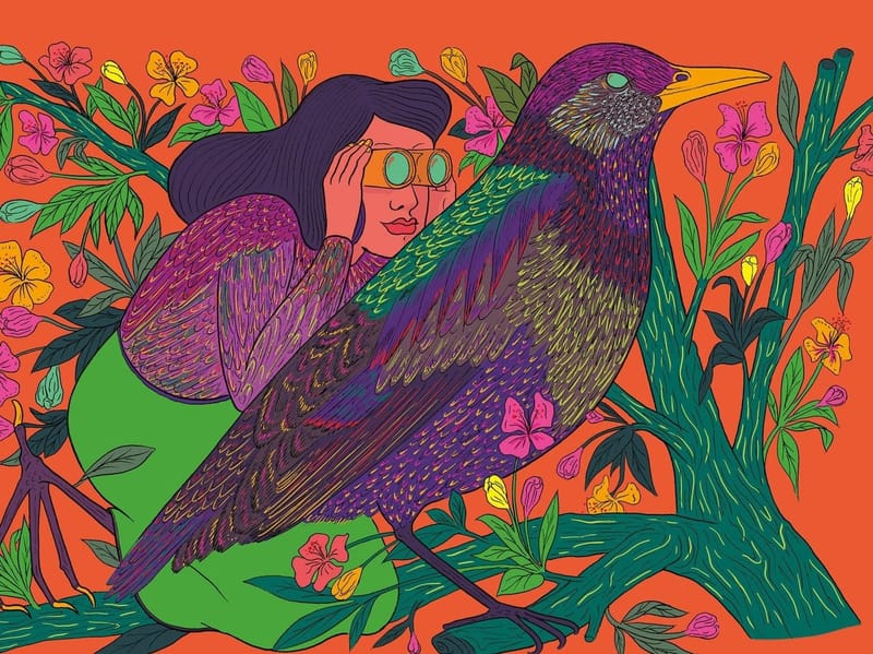 Venez à la présentation de saison