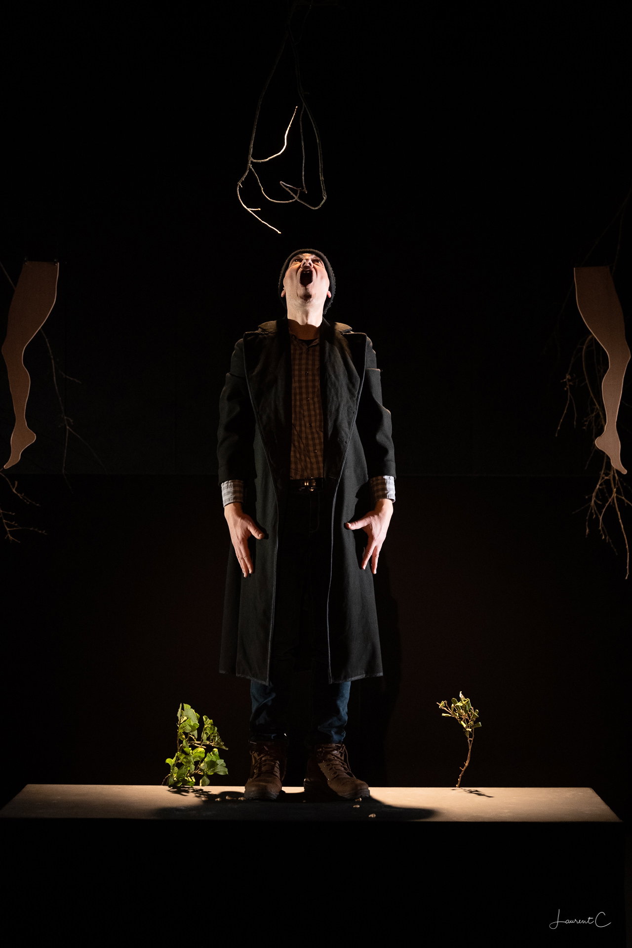 Vous ne m'aurez pas vivant