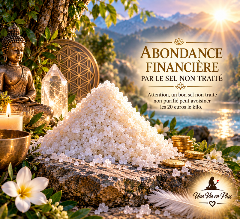 ABONDANCE, ARGENT PAR LE SEL