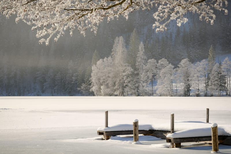 Winterization