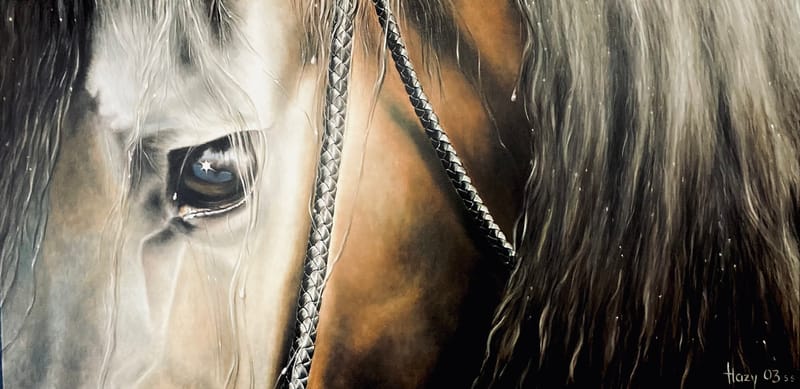 (113W) PFERDEAUGE VON HAZY