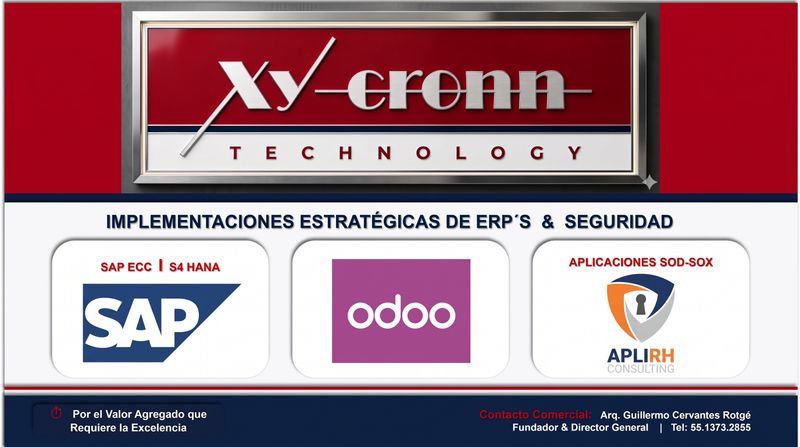 IMPLEMENTACIONES ERP´S & SEGURIDAD SOD-SOX
