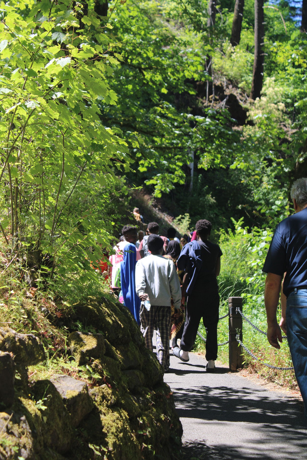Multnomah Falls Hiking Trip