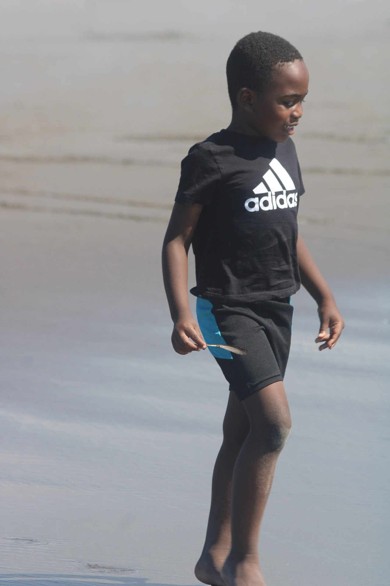 Seaside Field Trip 2024