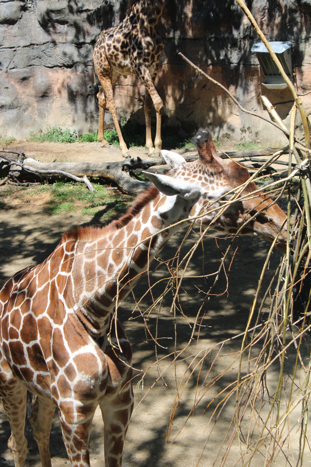 Washington County Zoo Fieldtrip