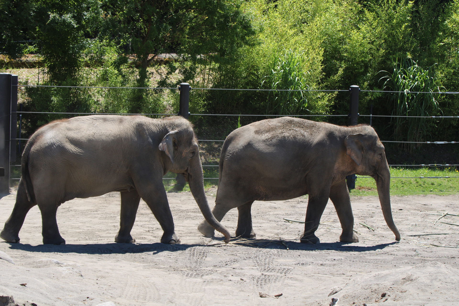 Washington County Zoo Fieldtrip