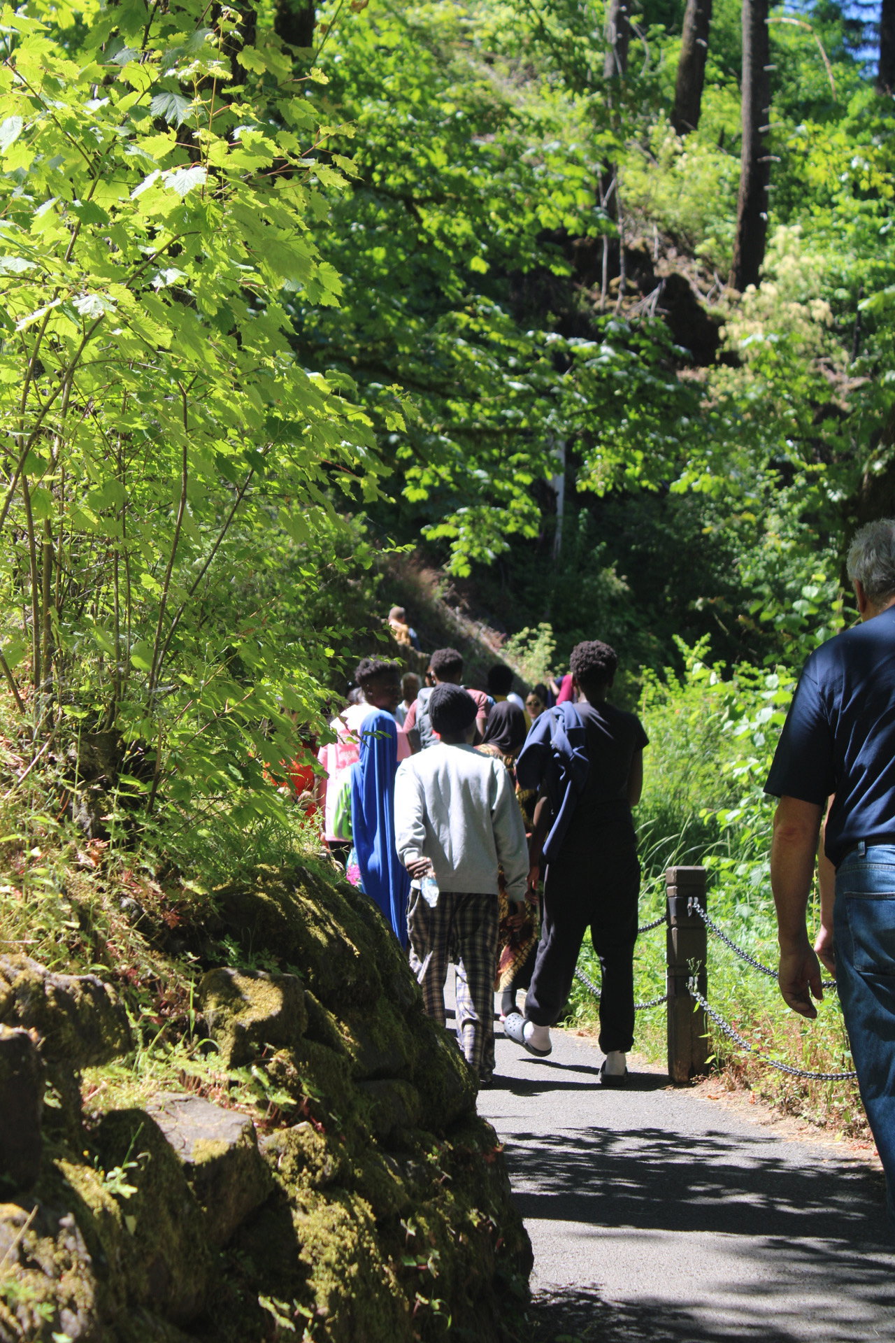 Multnomah Falls Safar Socdaal