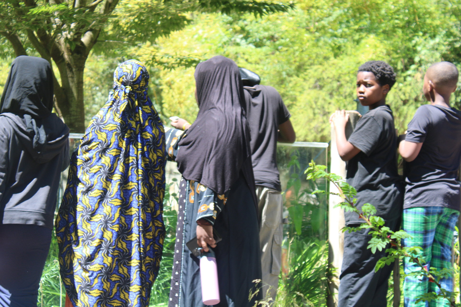 Safarka Beerta Xayawaanka ee Degmada Washington