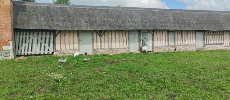 Des nouvelles des animaux