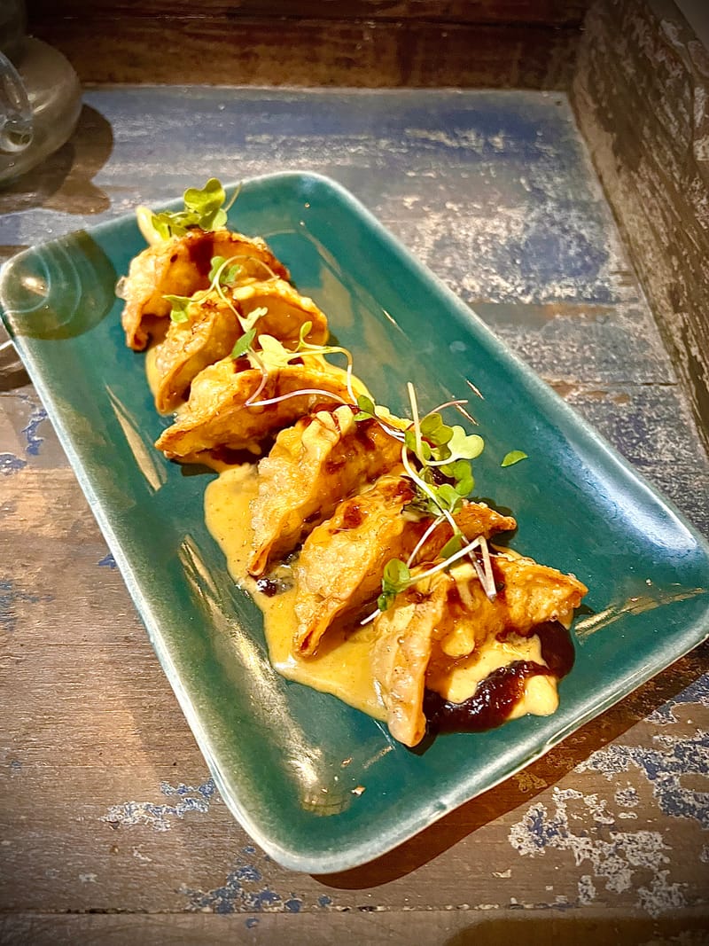 >NEW< CHICKEN GYOZAS