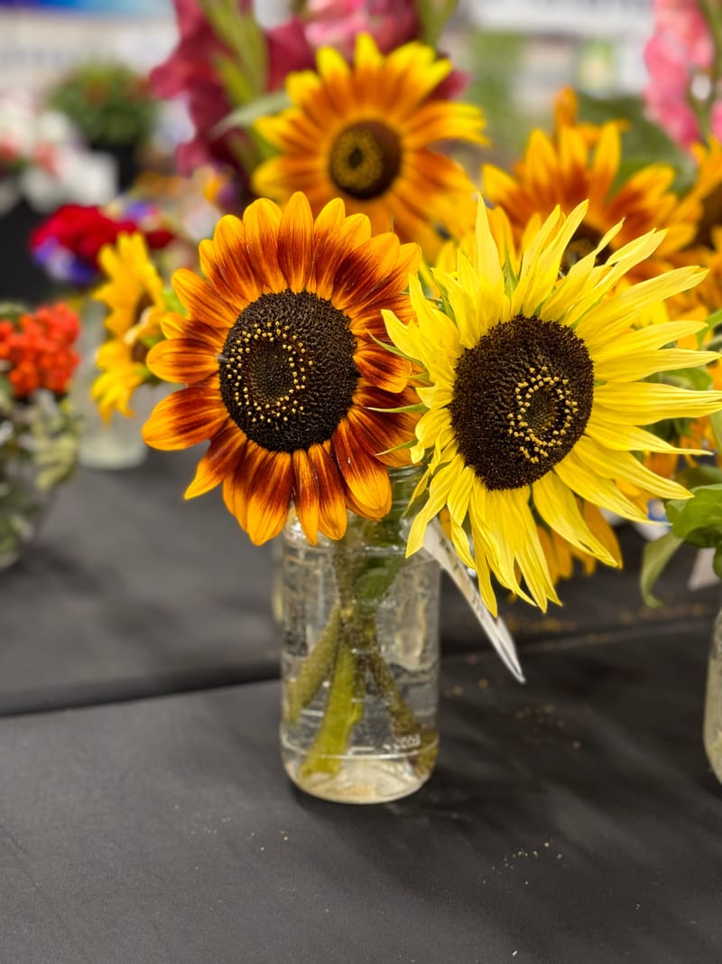 Section E - Cut Flowers