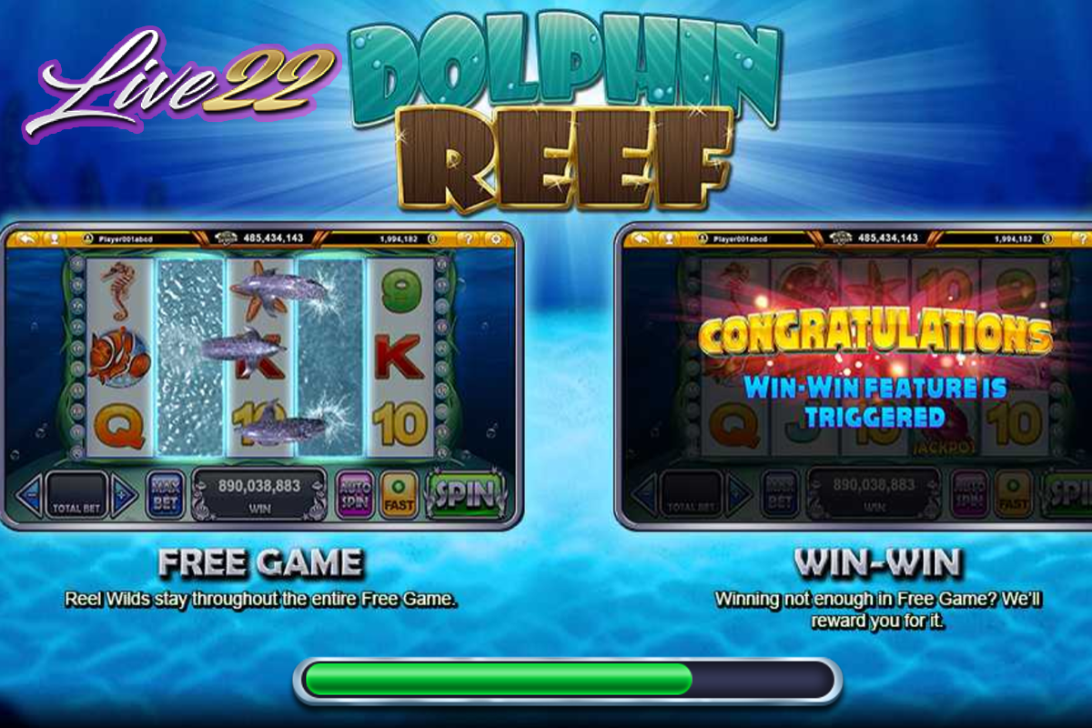 Dolphin Reef Slot Game Screenshot by Live22 Myanmar