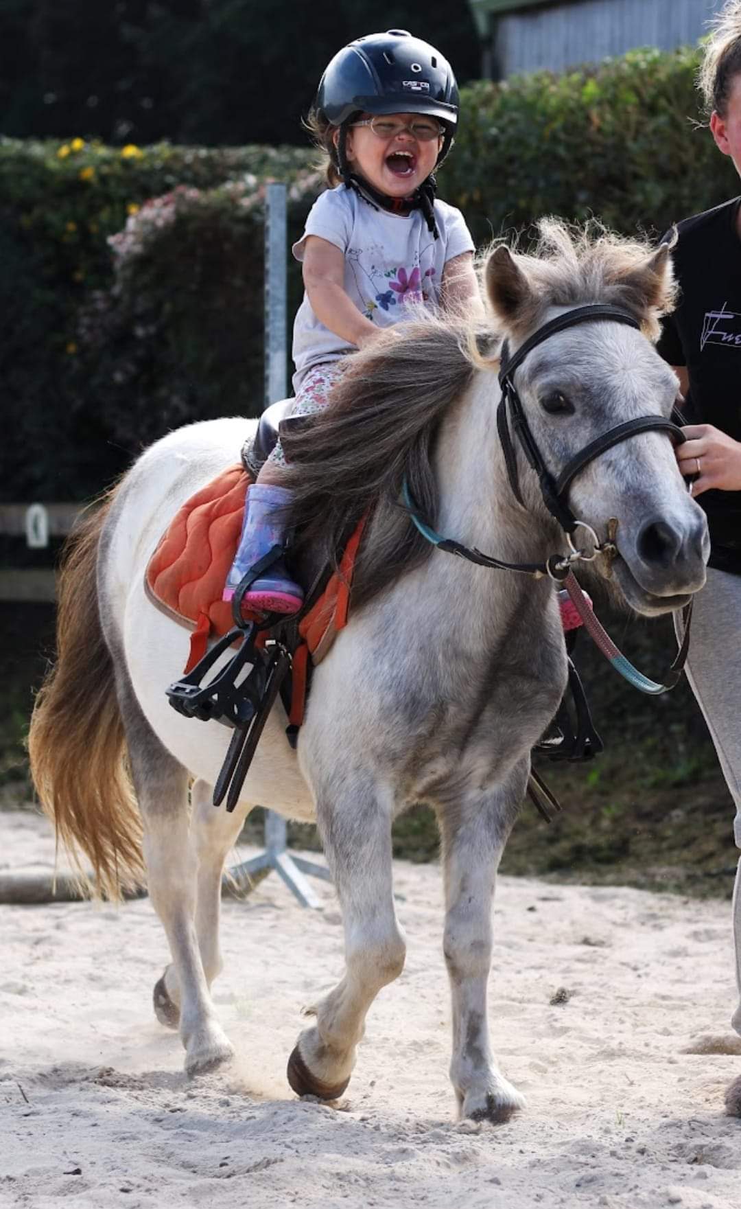 Jango Toul ar c'hoat