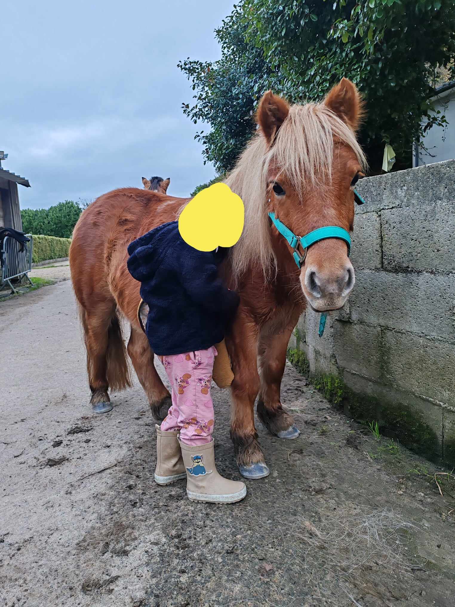 Kassie Toul Ar C'hoat