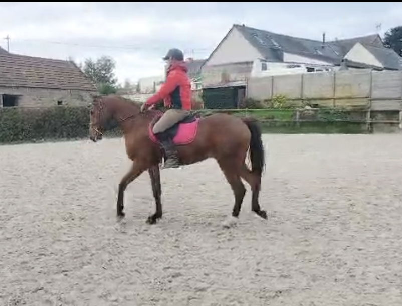 Mystic Toul Ar C'hoat  (a vendre)