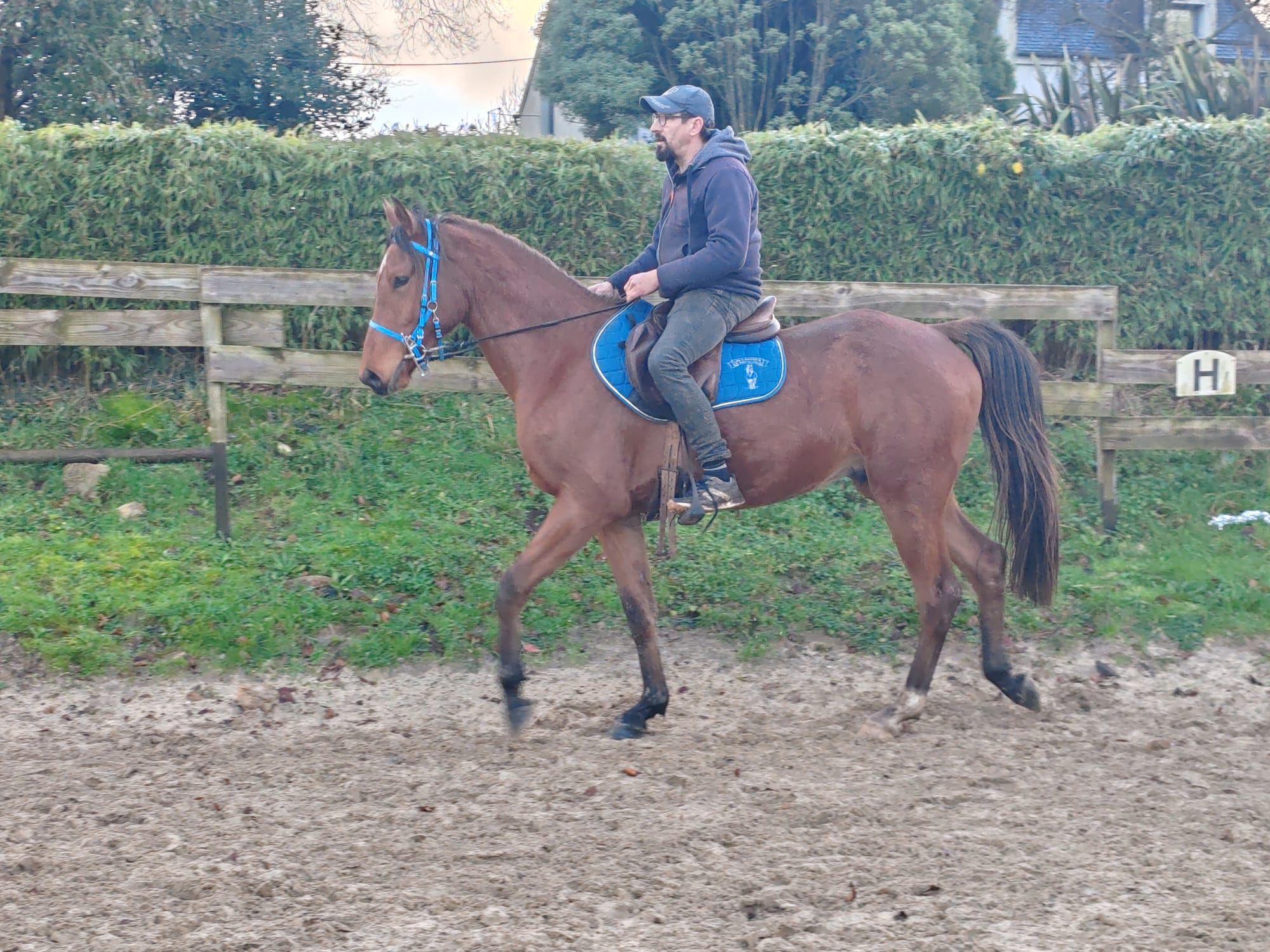 Mystic Toul Ar C'hoat  (a vendre)