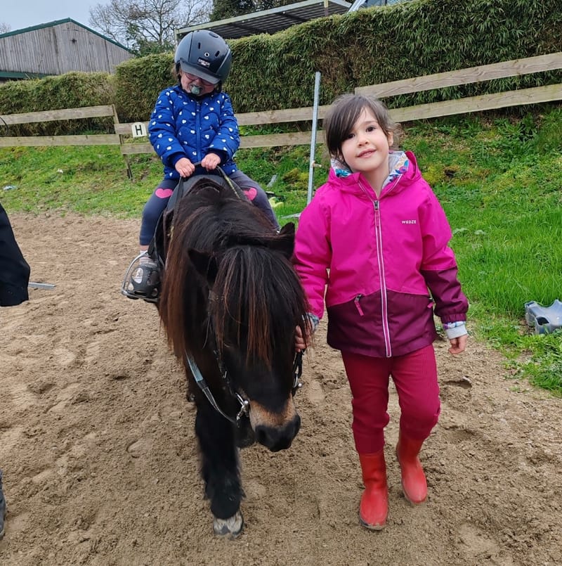 Baby Poney
