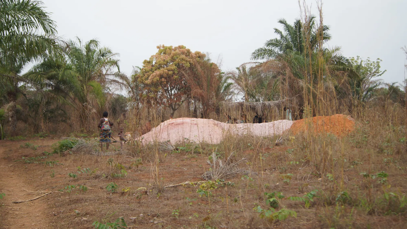 Aménagement de la route