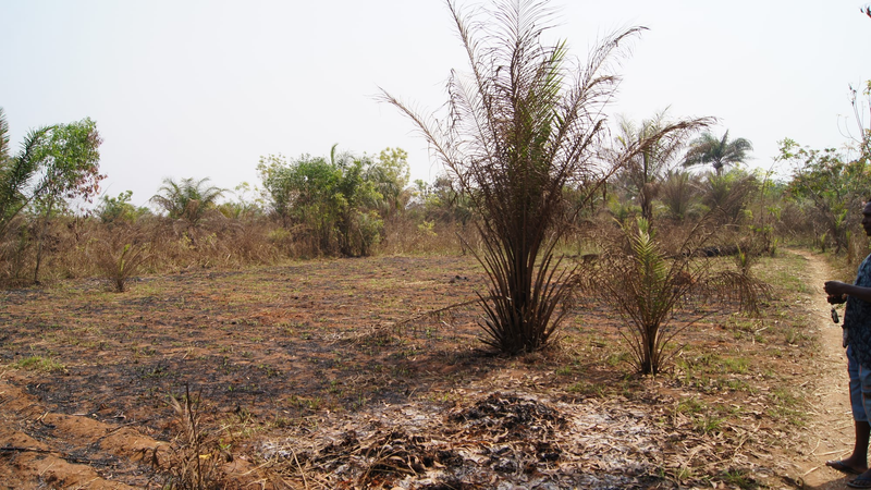 Aménagement de la route