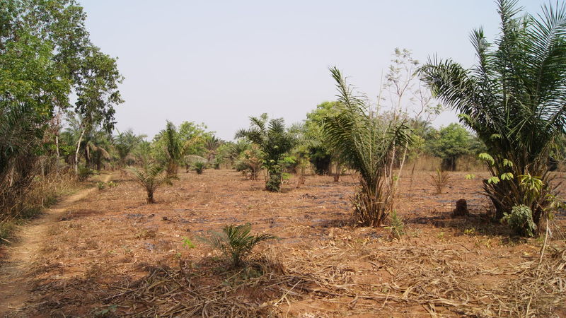 Aménagement de la route