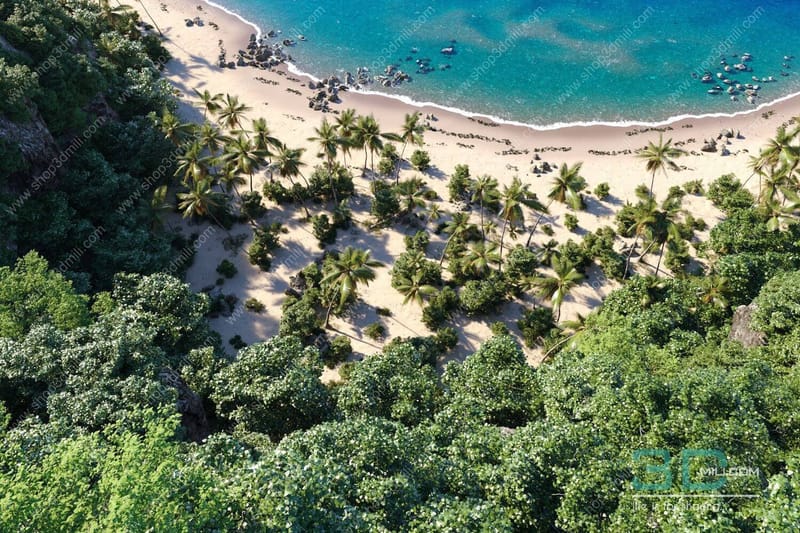 أمثله متنوعة