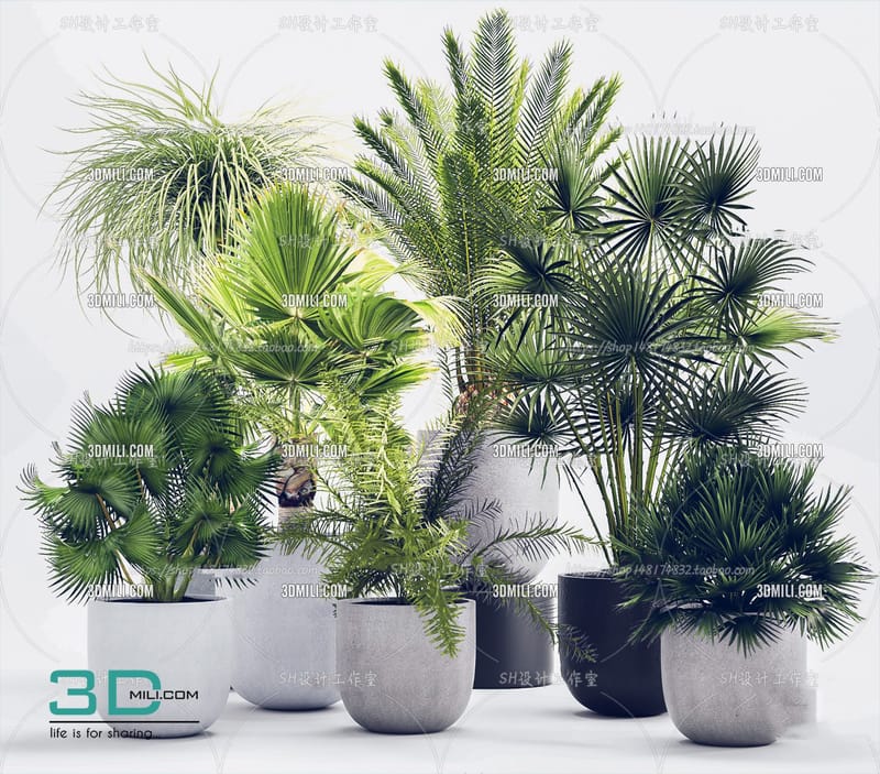 دي عينه بسيطه اقل من 5% من البلوكات المتاحه مع 3D MAX , بعد الأشتراك يظهر لك البلوكات متقسمه الي ( 122 ) قسم , كل قسم منفصل بالبلوكات الخاصه به مثال أبواب ، شبابيك ، سجاد ، اضائات ، مطابخ ..... الي اخره .