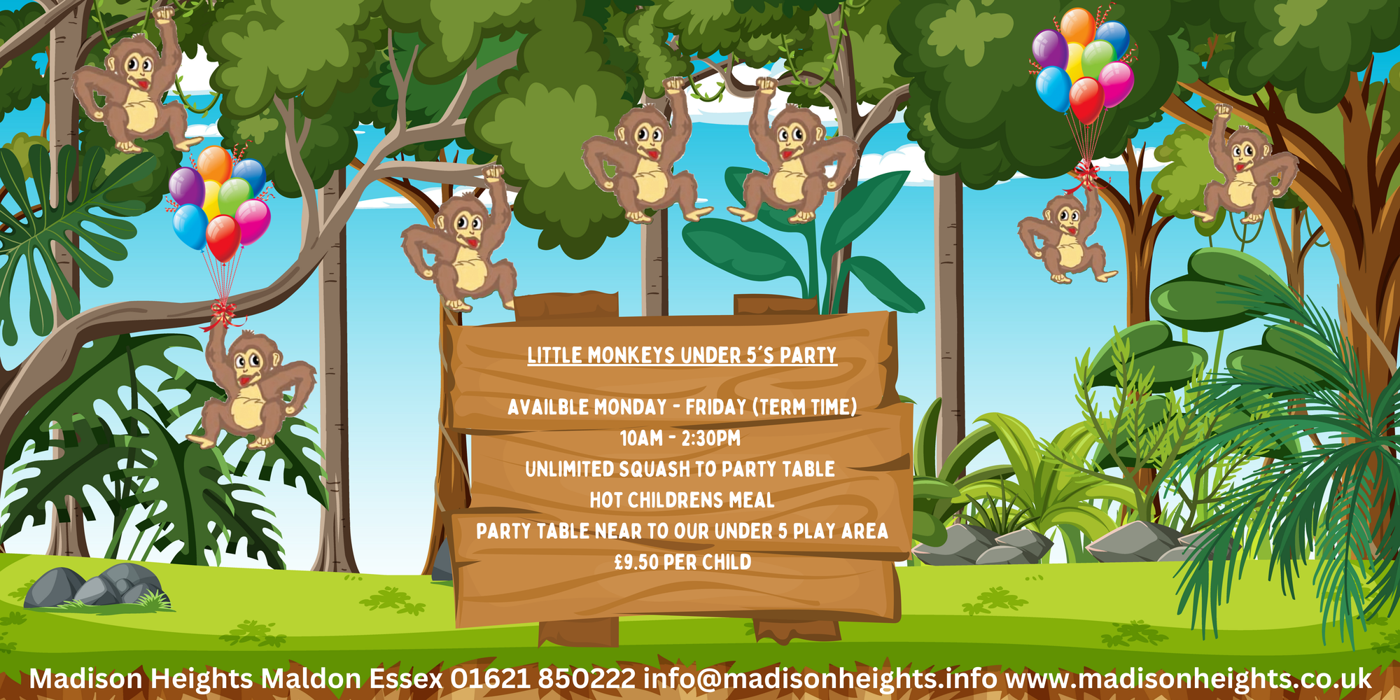 Under 5's Party