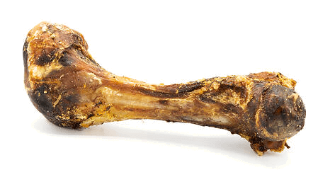 value-pack-pork-femur-dino-bone