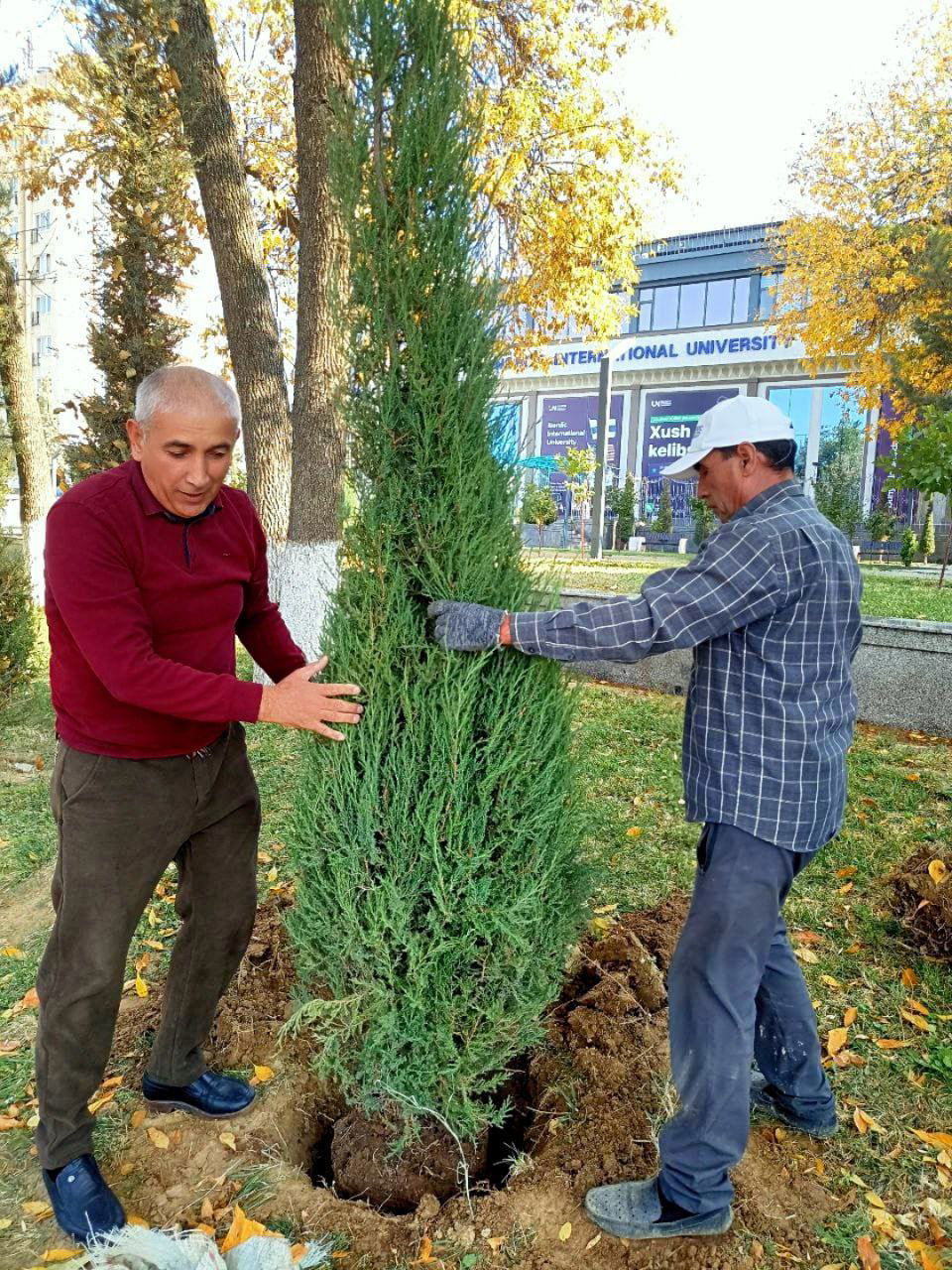 🌿 Nordik universitetida — “Yashil makon” ruhidagi yangilanishlar!