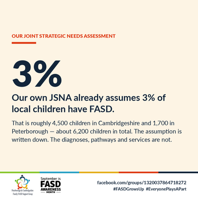 FASD Grows Up Part 4: 3% in our JSNA -